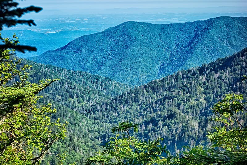 Scenes Along Appalachian Trail in Great Smoky Mountains Stock Image