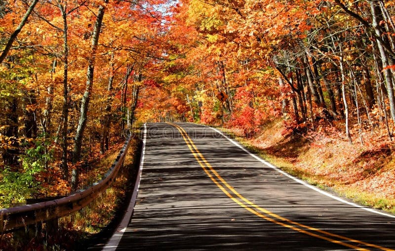 Scenic Autumn Drive