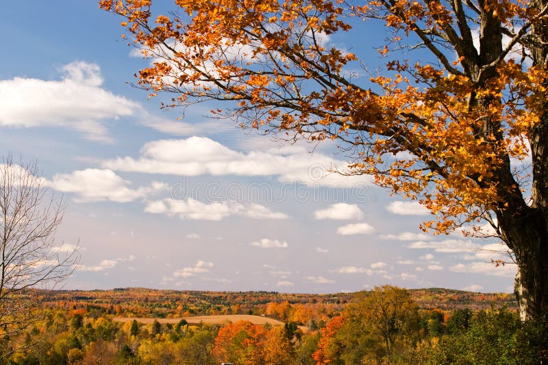 Scenic autumn foliage Maine