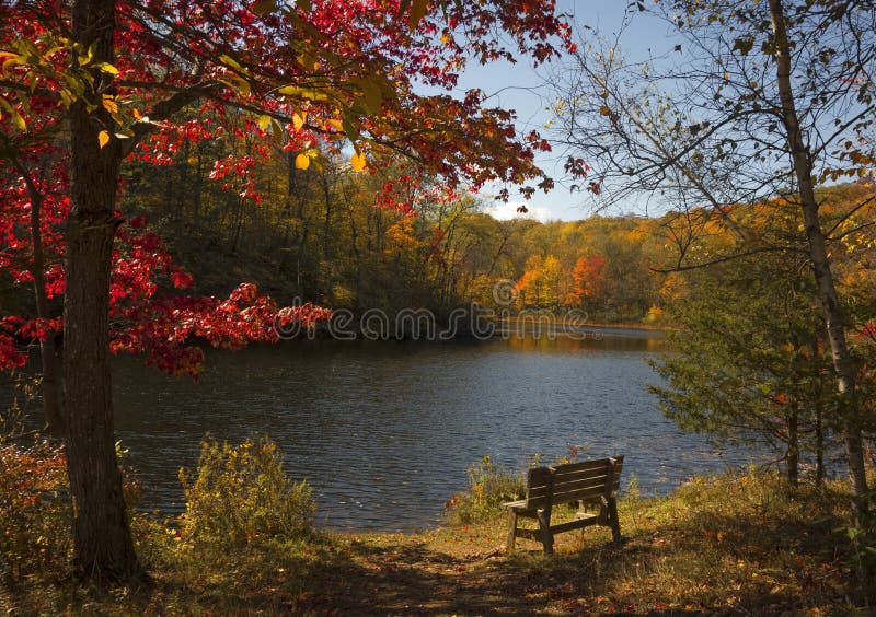 A peaceful Autumn scene with colorful foliage, lake and park bench in rural New York. A peaceful Autumn scene with colorful foliage, lake and park bench in rural New York.