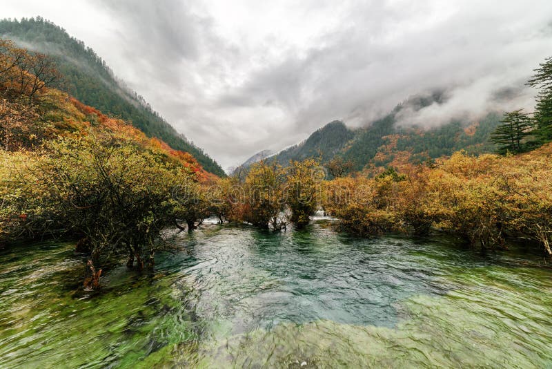 Amazing View Of The Bonsai Shoals Jiuzhaigou Nature Reserve Stock