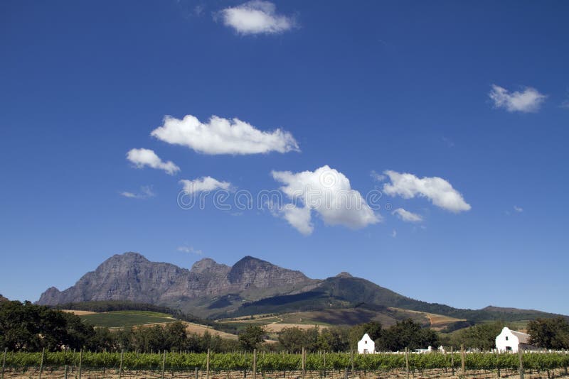 Scenic Cape Boland wine estate South Africa