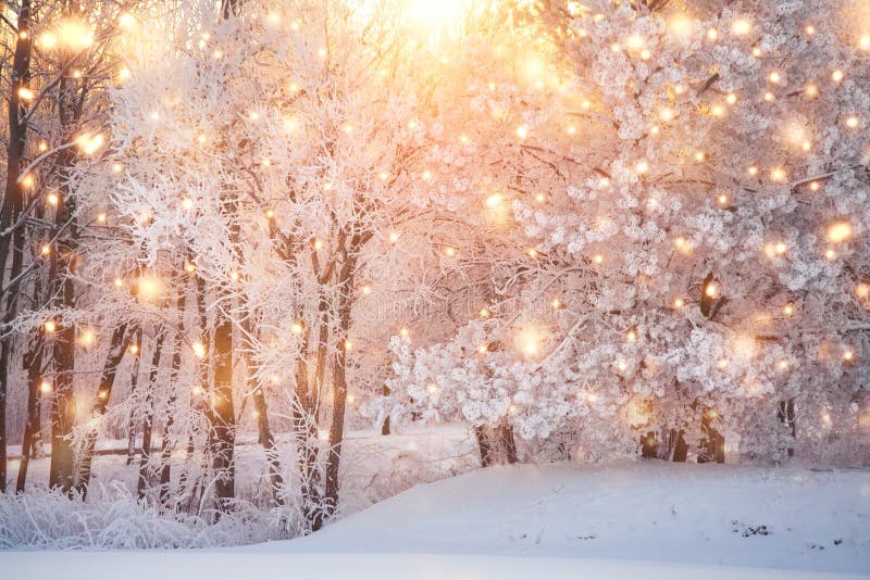 Đón mùa Giáng sinh với hình nền đẹp, đầy ma mị giữa sương giá và tuyết rơi. Khơi gợi những kỷ niệm ngọt ngào của tuổi thơ, hình ảnh mùa đông sẽ giúp bạn lạc vào thế giới tuyệt đẹp đầy màu sắc của mùa lễ hội.