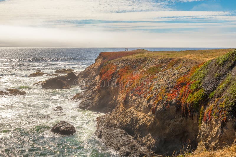 Scenic costal landscape in Pomo Bluffs Park