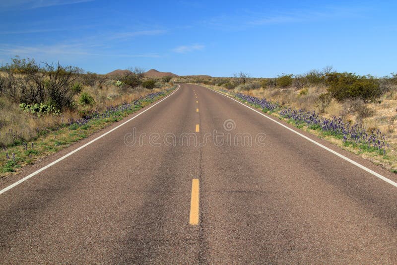 Scenic Desert Highway