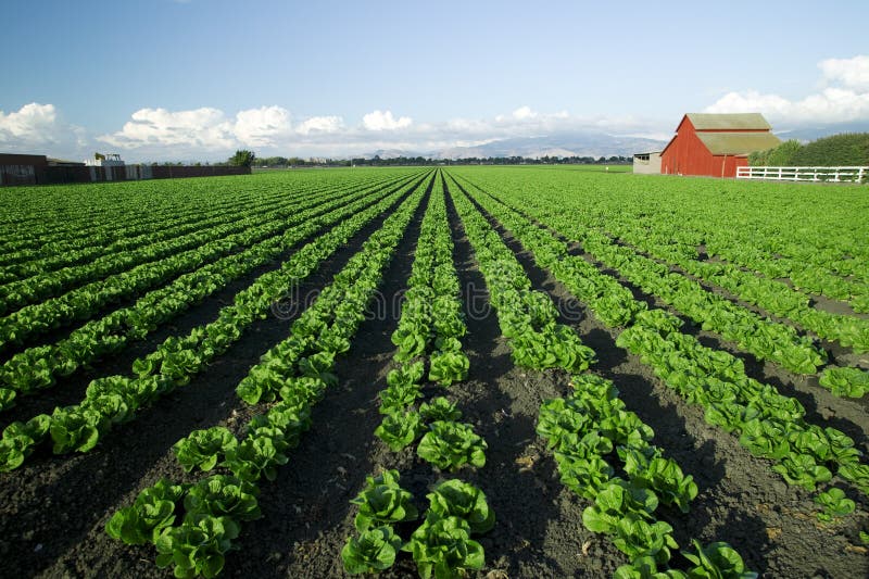 Scenic Farming stock image Scenic Farming stock image