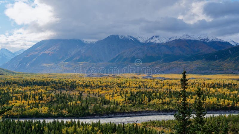 Scenic forest and mountains in Denali National Park. stock photo