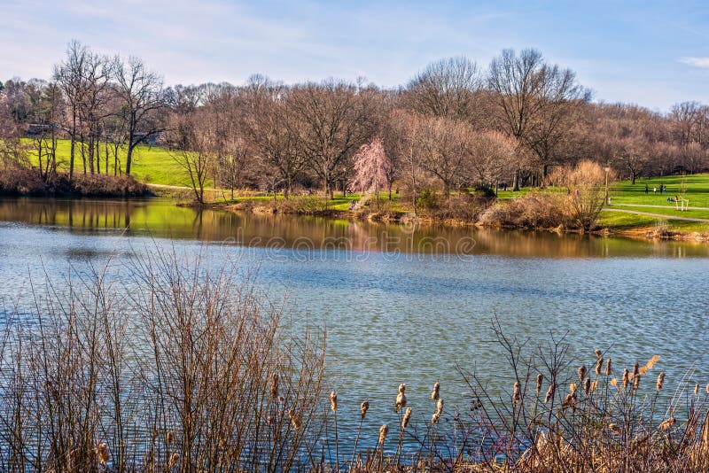 Scenic Holmdel Park stock photo. Image of sunny, jersey 90400768