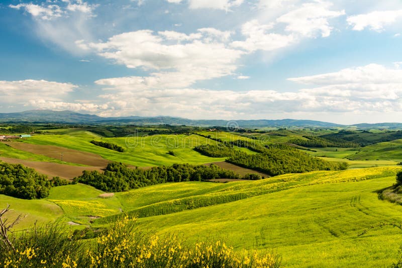 Scenic Landscape with Green Hills, Tree and Yellow Flowers in ...