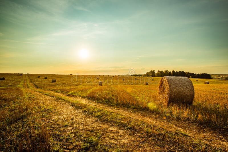 Scenic Landscape With Straw Bales On Agricultural Field At Sunrise