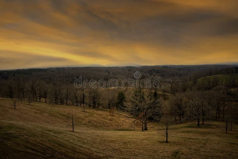 Scenic Landscape and Summer Golden Glows Stock Photo Image of calm