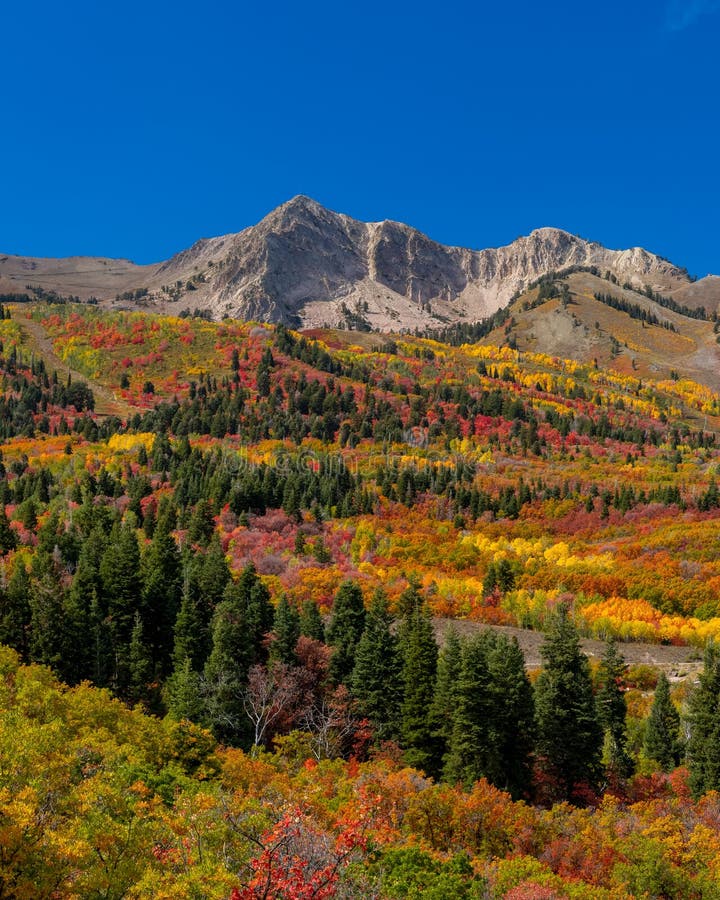 Scenic Mt Ogden Peak in Utah during Autumn Time Stock Photo Image of