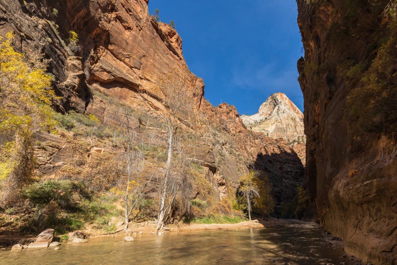 Scenic Zion National Park Narrows in Autumn