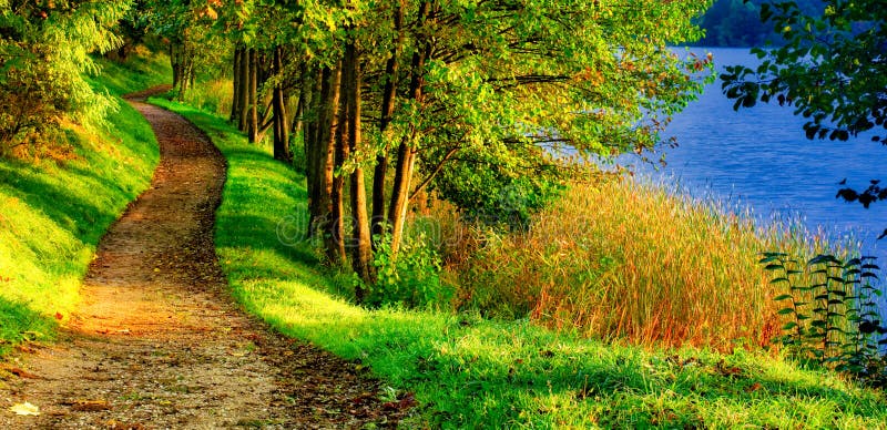 Scenic nature landscape of path near lake