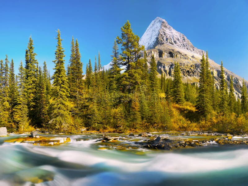 Scenic Rocky Mountains Canada Mt Robson Stock Photo - Image of blue ...