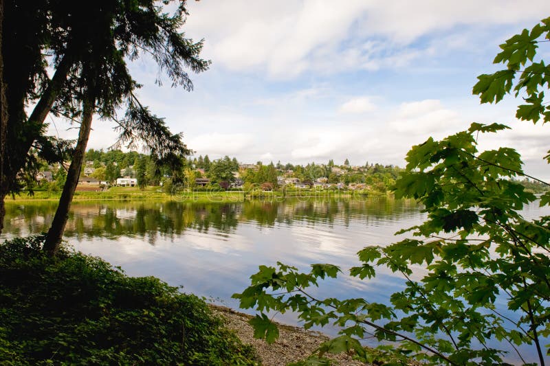 Scenic shoreline