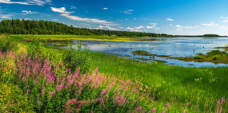 Scenic summer landscape in Norrbotten, Sweden