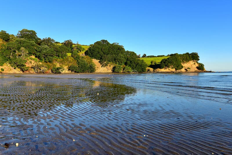 Scenic Te Haruhi Bay at Shakespear Regional Park