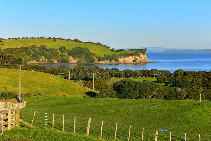 Scenic Te Haruhi Bay at Shakespear Regional Park