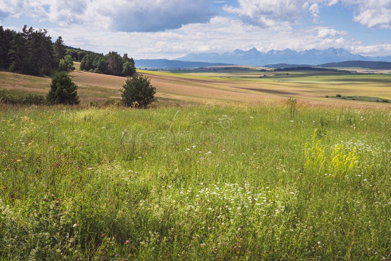 Scenic view of beautiful countryside in Slovakia. Meadow and forest by Slovak Paradise with a view of Tatra mountains in