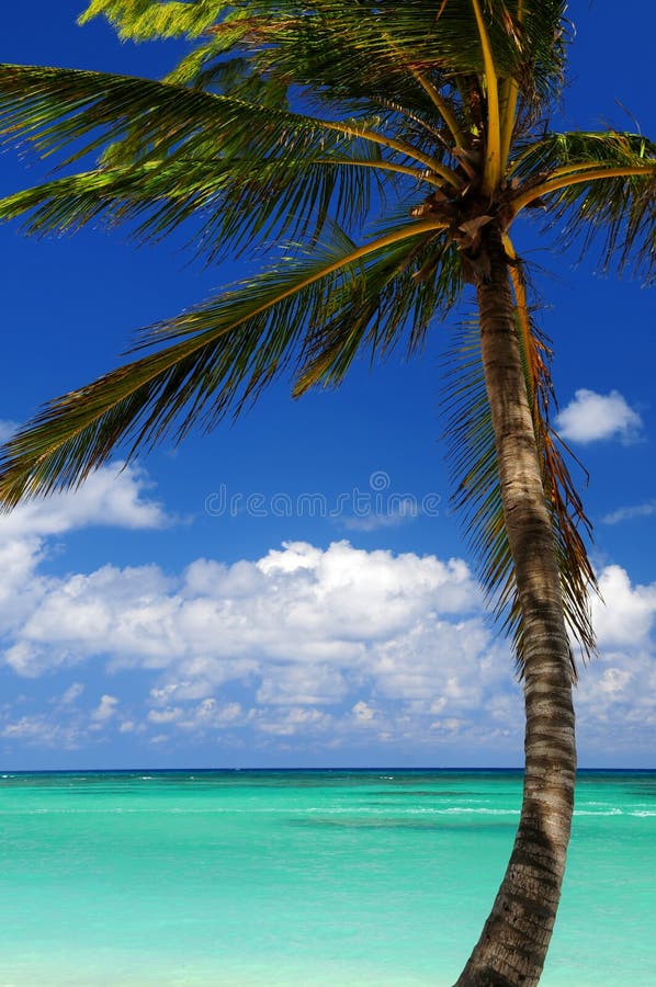 Scenic view on Caribbean sea stock photos