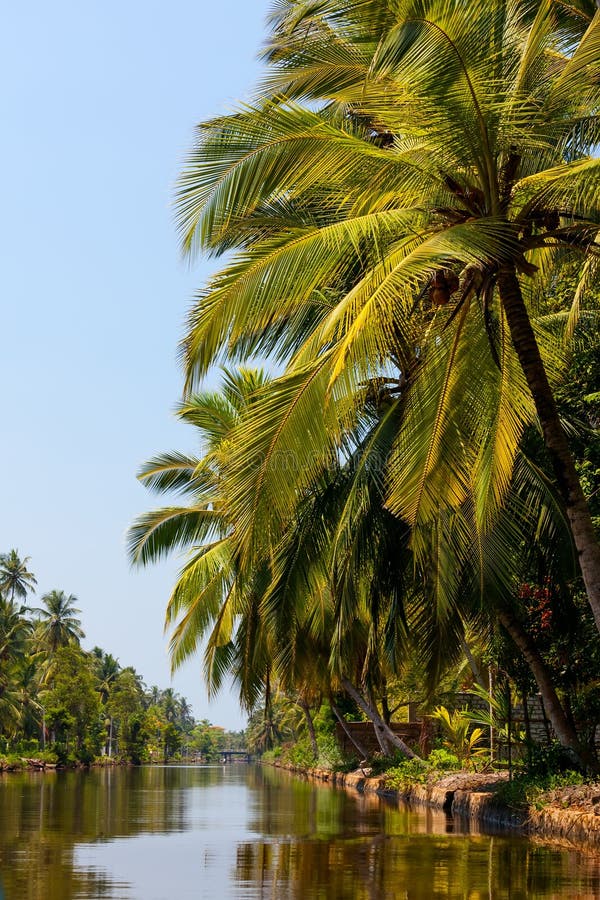 Scenic view at Dutch canal