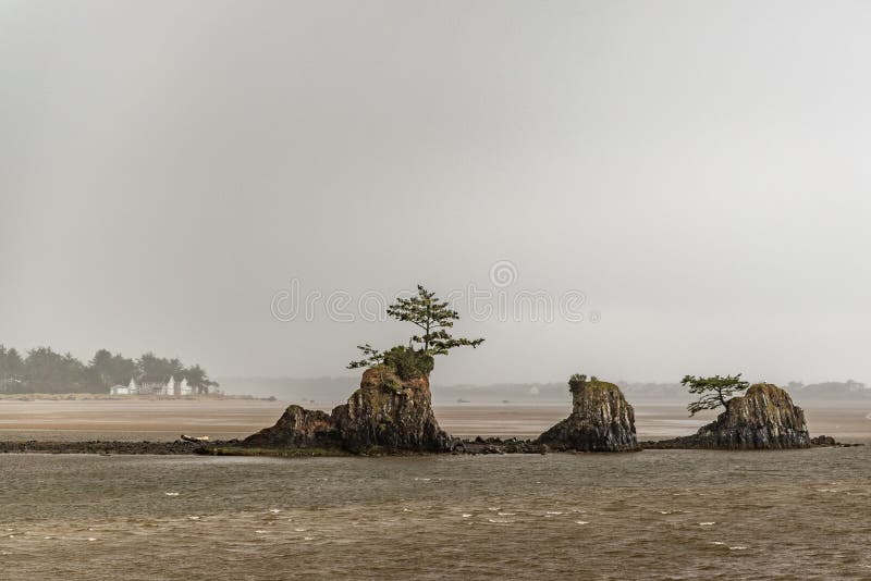 A scenic view of green trees at Siletz Bay along the Oregon coast in USA on a cloudy day