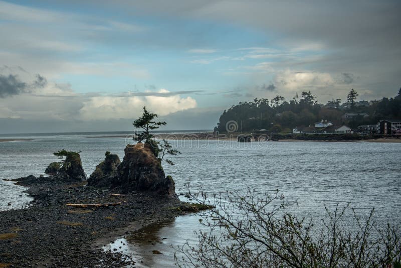 A scenic view of green trees at Siletz Bay along the Oregon coast in USA on a cloudy day