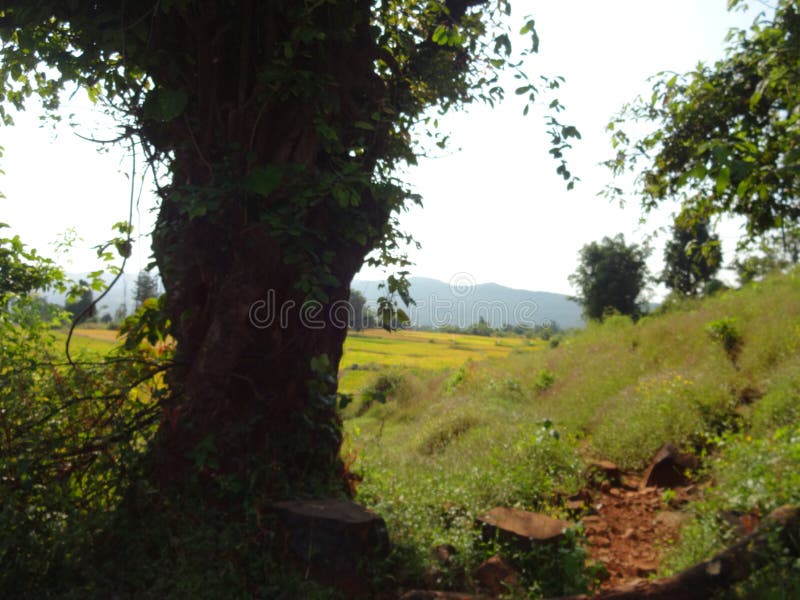 Scenic view of landscape in the village stock photos