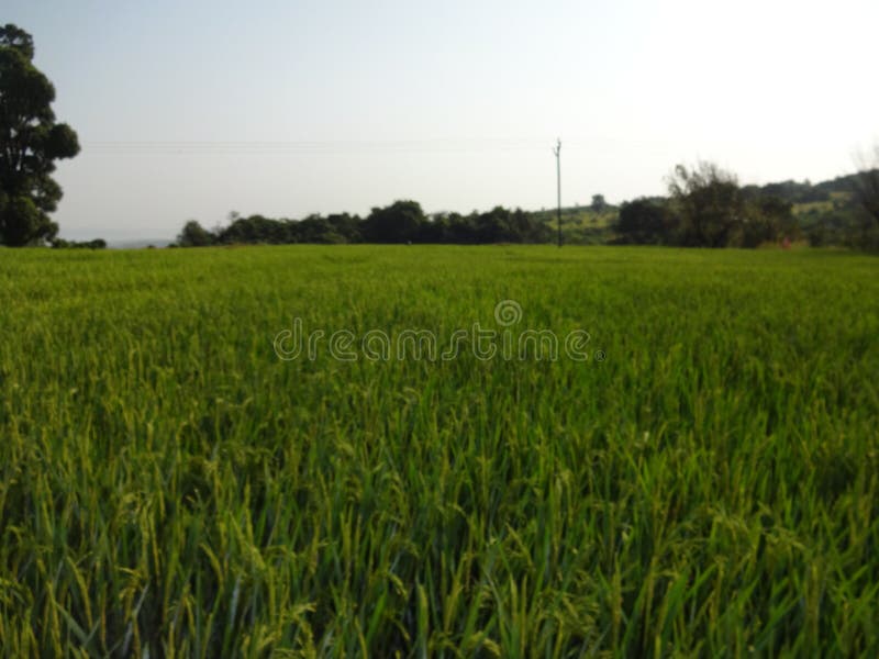 Scenic view of landscape in the village stock photography