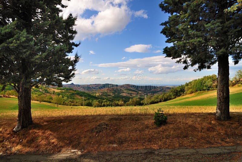 Scenic view of meadow royalty free stock image