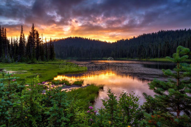 Scenic view of Mount Rainier reflected across the reflection lakes stock image