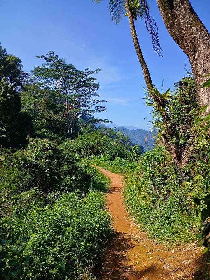 Scenic view of mountain and hill landscape in Indonesia royalty free stock photography