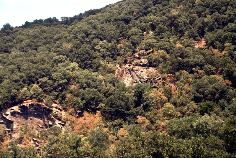 Scenic View Mountains in West Virginia Stock Image Image of scenic