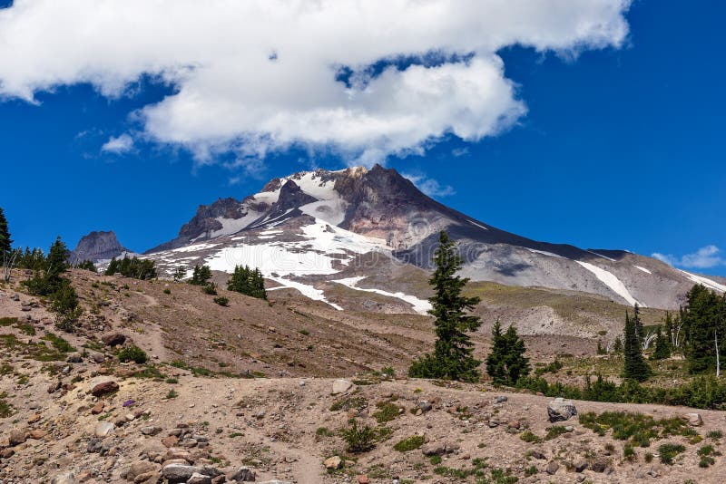 Scenic View of Mt. Hood, Oregon in the Summer Stock Image Image of