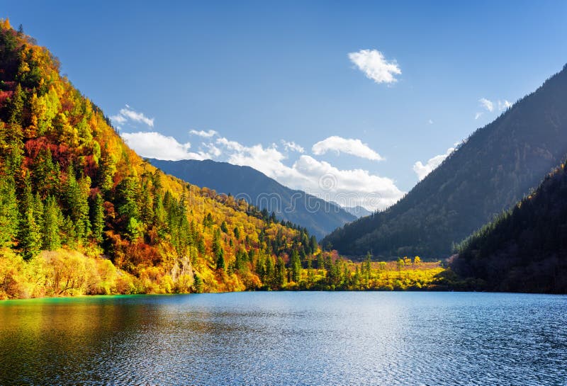 Scenic View Of The Panda Lake Among Colorful Fall Woods Stock Photo