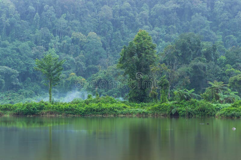 Scenic view of Situ Gunung Lake surrounded by misty forest in Gede Pangrango National Park, Indonesia