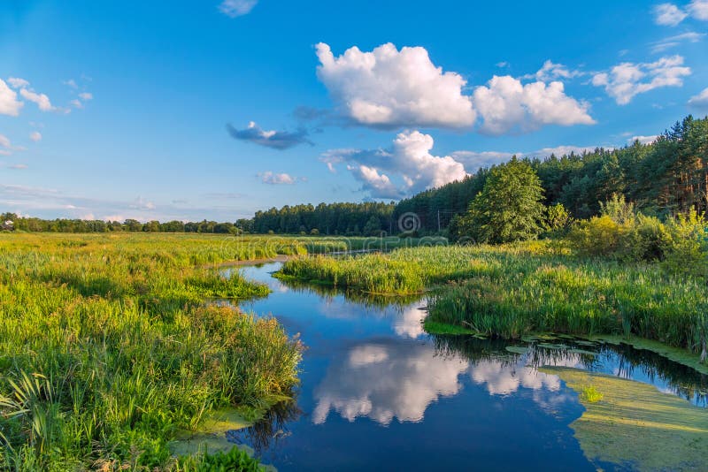 A Small River Channel Against A Background Of Green Grass And A Golden