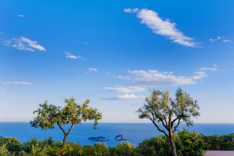 Scenic view of two trees, sky, sea and Li Galli islands on Amalfi Coast, Italy