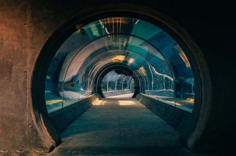 Scenic View of an Underground Aquarium Stock Image Image of fish