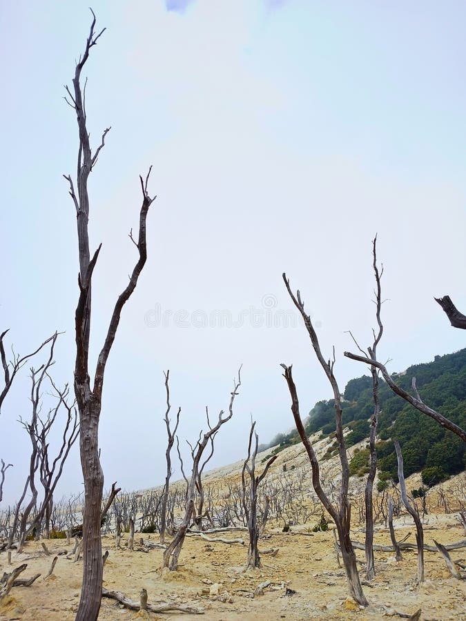 Scenic view of volcanic mountain landscape in West Java royalty free stock photos