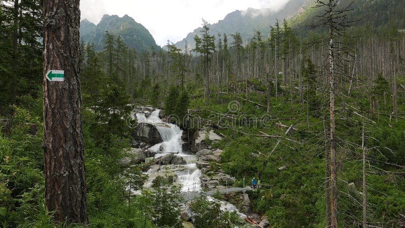 Scenic view of waterfall in forest, High Tatras, Slovakia.