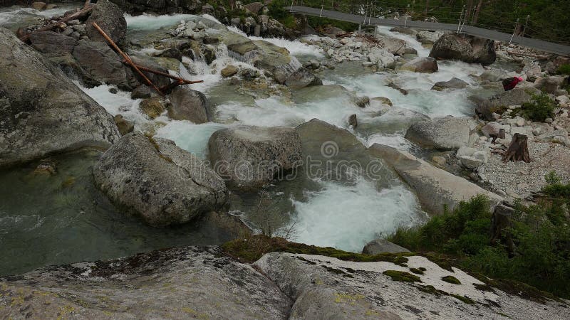 Scenic view of waterfall in forest, High Tatras, Slovakia