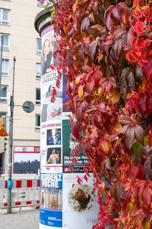 Scenic views around munich germany in autumn season royalty free stock photos