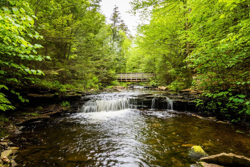 Scenic Waterfall in Ricketts Glen State Park in the Poconos in P Stock