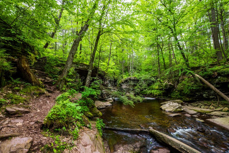 Scenic Waterfall in Ricketts Glen State Park in the Poconos in P Stock
