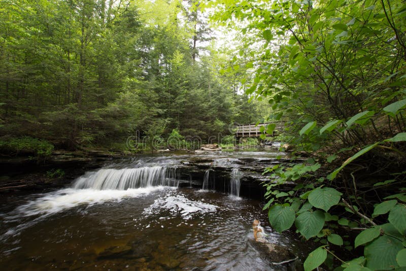 Scenic Waterfall in Ricketts Glen State Park in the Poconos in P Stock