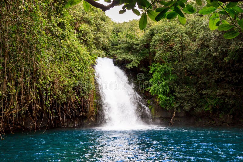 Mauritius Island on Instagram: Eau Bleue waterfall What place