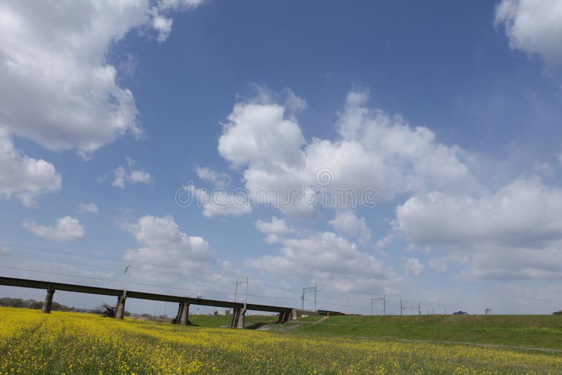 Scenics στοκ εικόνα