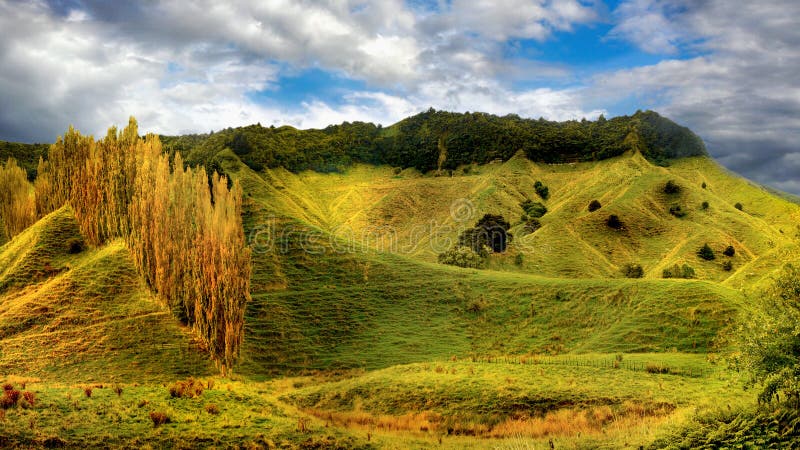 Sceniczni Krajobrazowi Zielonej trawy wzgórza, Nowa Zelandia obraz stock Sceniczni Krajobrazowi Zielonej trawy wzgórza, Nowa Zelandia obraz stock